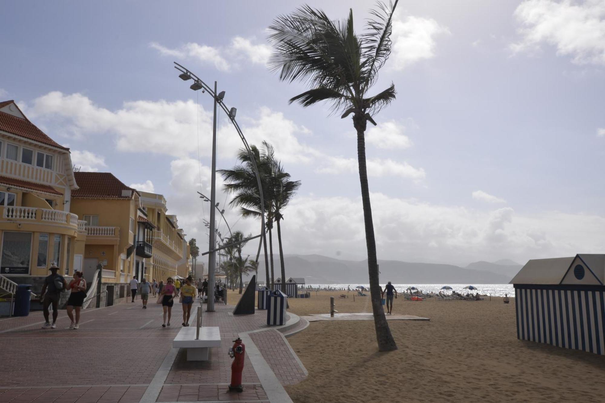 Apartamento Maralma Las Palmas de Gran Canaria Exteriör bild